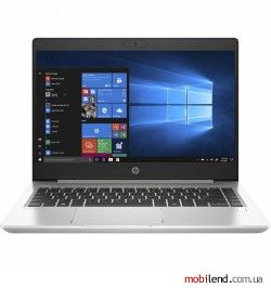 HP ProBook 445 G7 Silver (7RX16AV_V4)