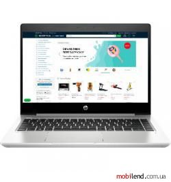 HP ProBook 445R G6 Silver (5SN63AV_V6)