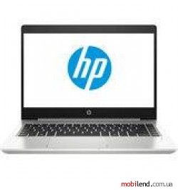 HP ProBook 445R G6 Silver (5UN07AV_V5)