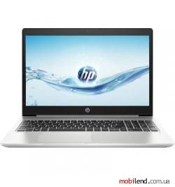 HP ProBook 450 G7 Silver (6YY23AV_V2)
