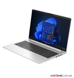 HP ProBook 455 G10 Silver (719F5AV_V1)