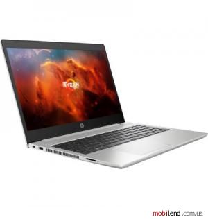 HP ProBook 455 G6 Silver (5MV92AV_V1)