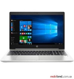 HP ProBook 455 G7 Silver (175V2EA)
