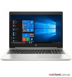 HP ProBook 455 G7 Silver (7JN02AV_V7)