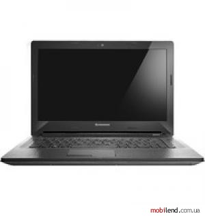 Lenovo G40-45 (80E1006PPB)