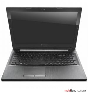 Lenovo IdeaPad G50-45 (80E301DDPB)