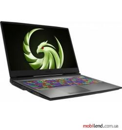 MSI Alpha 17 B5EEK (B5EEK-026XRO)
