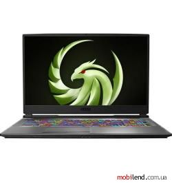 MSI Alpha 17 B5EEK Core Black (17B5EEK-023XUA)