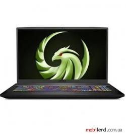 MSI Bravo 15 B5DD (B5DD-010US)