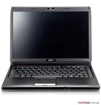 MSI MegaBook EX300
