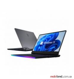MSI Raider GE66 12UGS (GE66 12UGS-065PL)