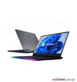 MSI Raider GE66 12UHS (GE66 12UHS-459PL)