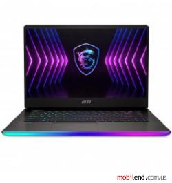MSI Raider GE67HX (GE6712013)