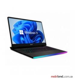 MSI Raider GE77HX 12UHS (GE77HX 12UHS-213PL)