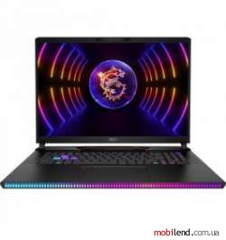 MSI Raider GE78HX (13VH-081RO)