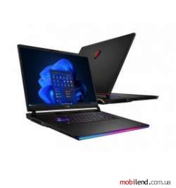 MSI Raider GE78HX 13VI (GE78HX 13VI-246PL)