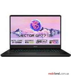 MSI Vector GP77 13VF (GP7713VF-053CZ)