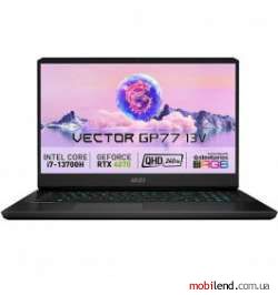 MSI Vector GP77 13VG (13VG-052CZ)