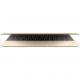 Apple MacBook 12 Gold (MLHE2) 2016, ���� #5