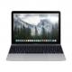 Apple MacBook 12 Space Gray (MJY42) 2015, ���� #1