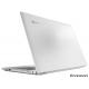 Lenovo IdeaPad Z5070 (59-421900) Silver, ���� #3