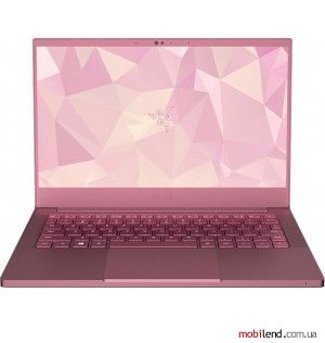 Razer Blade Stealth 13 2019 RZ09-02812EQ1-R3U1