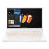 Acer ConceptD 3 CN314-72-53F0 (NX.C5SAA.001)