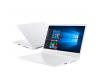 Acer ConceptD 3 CN315-71P (NX.C58EP.004)