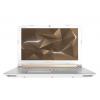 Acer Predator Helios 300 PH315-51-757A (NH.Q4HAA.001)