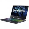 Acer Predator Helios 300 PH315-55-790J Abyss Black (NH.QGMEU.005)