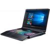 Acer Predator Helios 700 PH717-71-719N (NH.Q4ZEP.003)