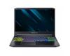 Acer Predator Triton 300 PT315-52 (NH.Q7CEU.00G)