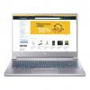 Acer Predator Triton 300 SE PT314-51s-73N5 Silver (NH.QBJEU.009)