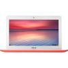 Asus Chromebook C300SA-FN008