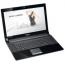 Asus N73Jf