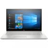 HP Envy 17-bw0003ur Silver (4GR89EA)