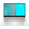 HP Pavilion 14-dv0009ua Ceramic White (423Z3EA)