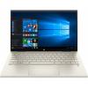 HP Pavilion x360 14-dy0008ua Warm Gold (423J3EA)