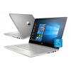 HP Pavilion x360 (4TU15EA)
