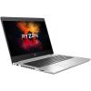 HP ProBook 445 G6 Silver (5XH25AV_V1)