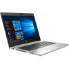 HP ProBook 445 G7 (2D276EA)