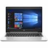 HP ProBook 445 G7 Silver (7RX16AV_V4)