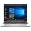 HP ProBook 445 G7 Silver (7RX17AV_V13)