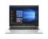 HP ProBook 445 G7 Silver (7RX17AV_V2)