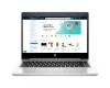 HP ProBook 445R G6 Silver (5SN63AV_V6)