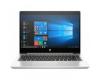 HP ProBook 445R G6 Silver (5SN63AV_V7)