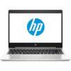 HP ProBook 445R G6 Silver (5UN07AV_V5)