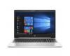 HP ProBook 450 G6 (5DZ79AV)