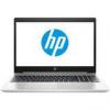 HP ProBook 450 G7 Silver (6YY19AV_V1)
