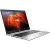 HP ProBook 455 G6 Silver (5MV93AV_V1)
